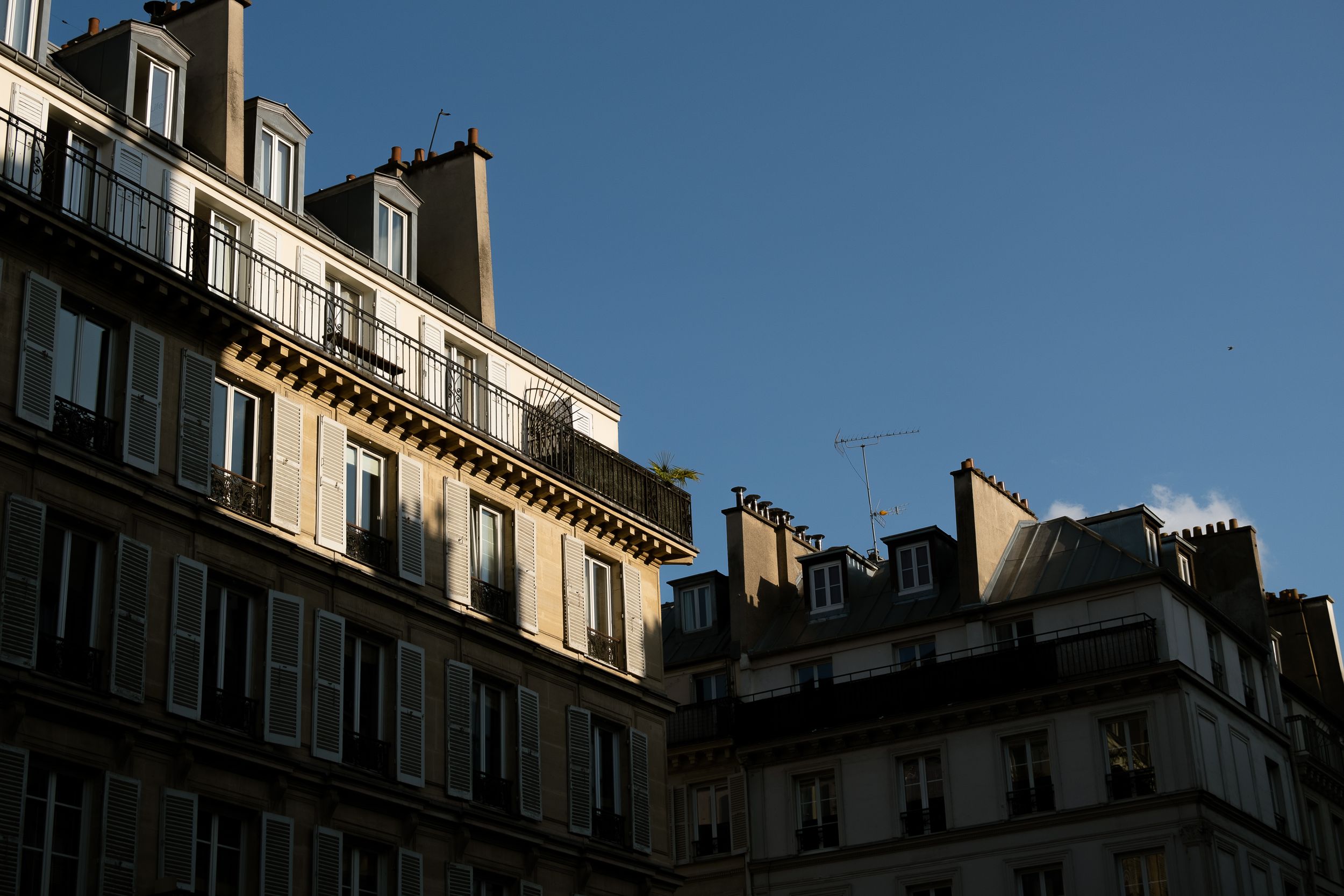 © Louis Ayoul