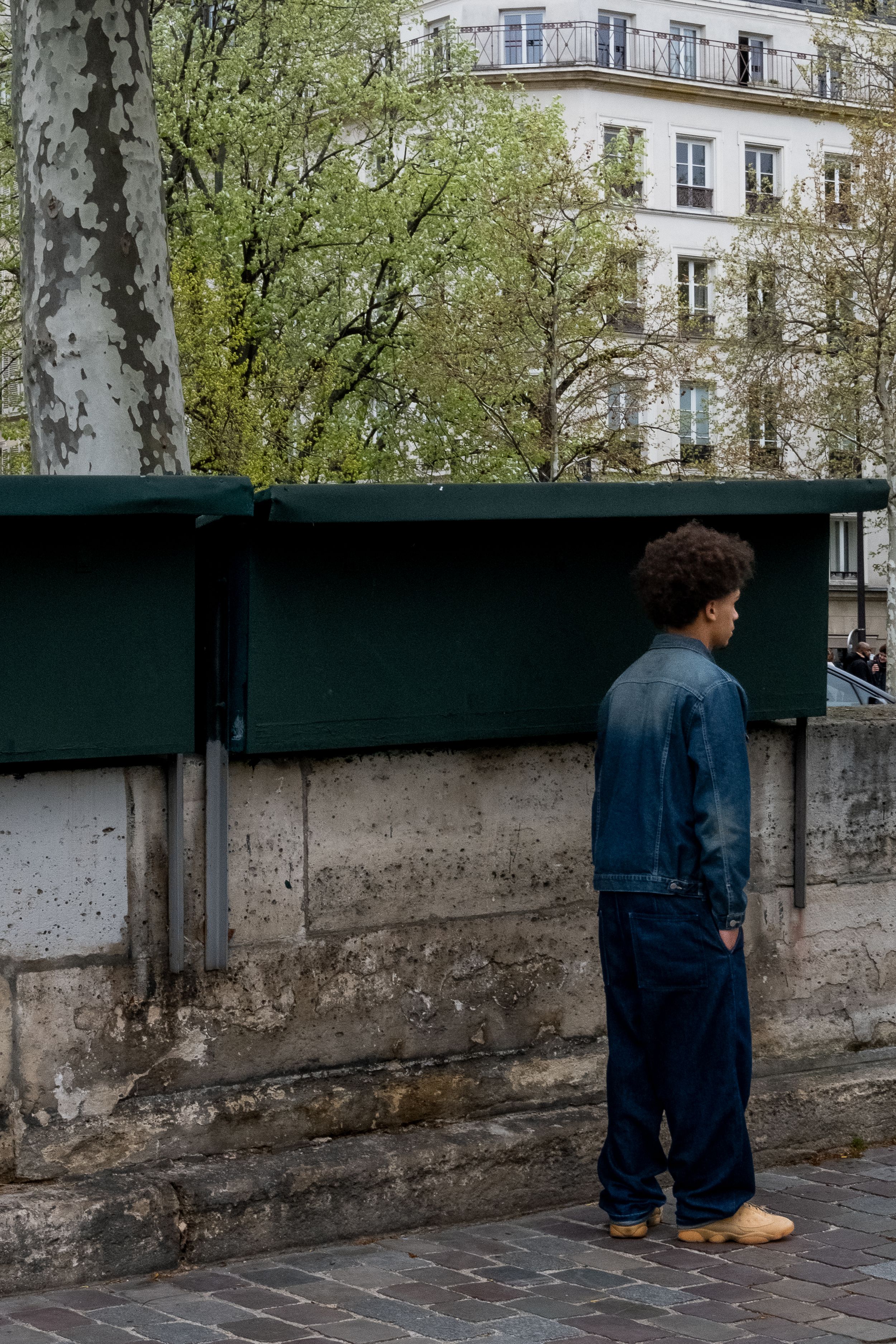 © Louis Ayoul