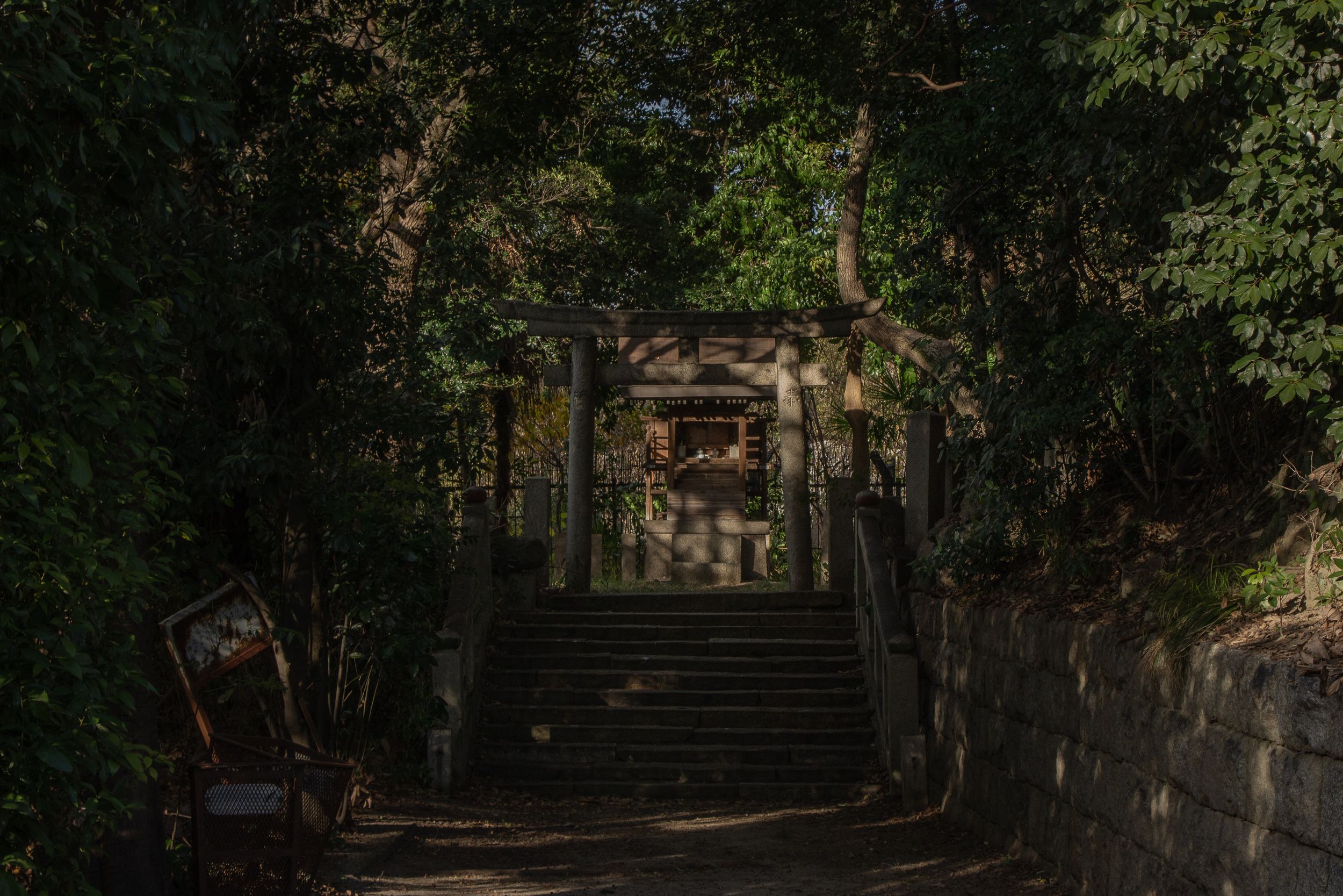 Glimpse